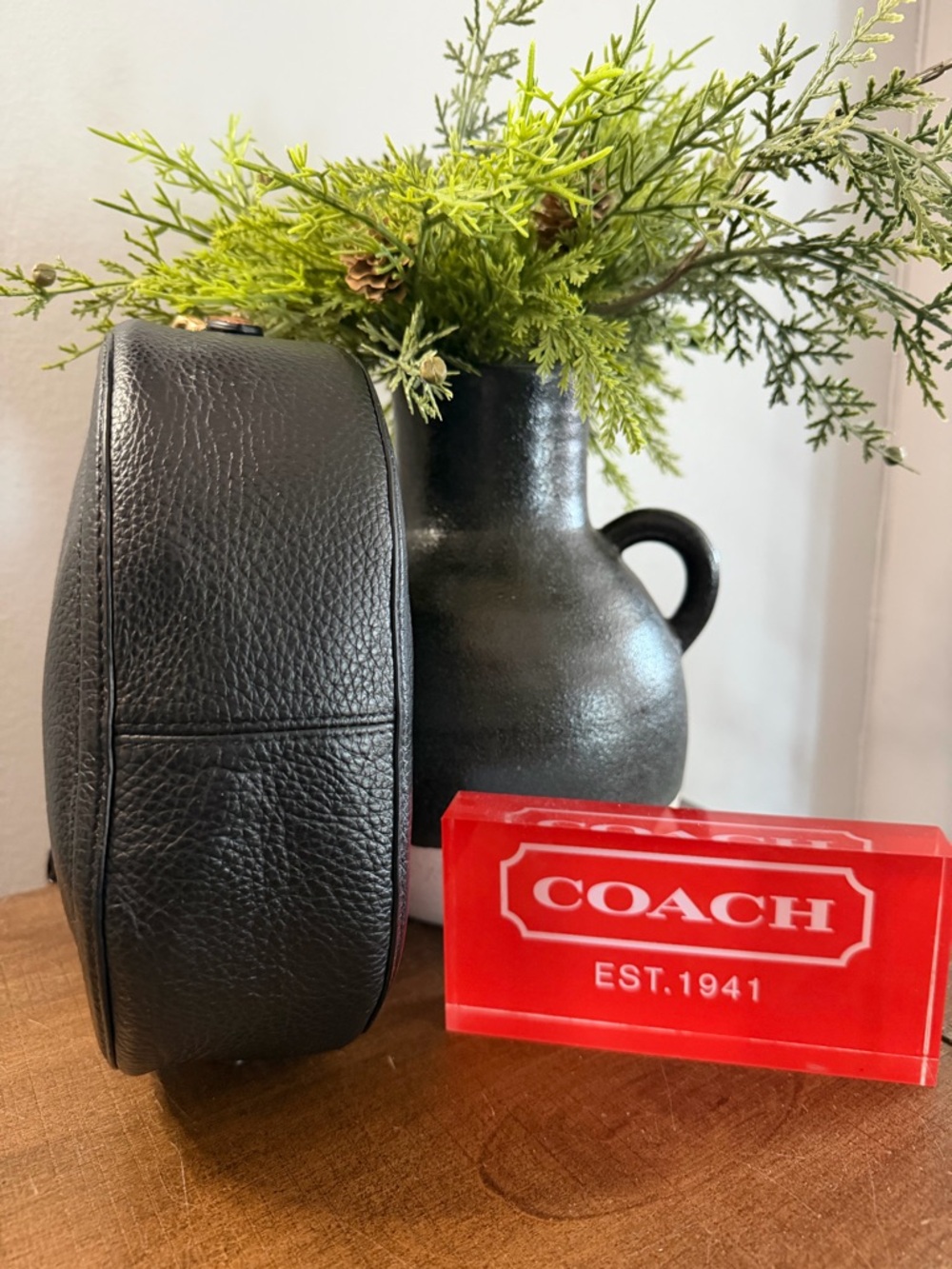 Coach Horse & Carriage Camera Bag - Picture 4 of 13